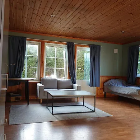 Appartement Tolyan House *